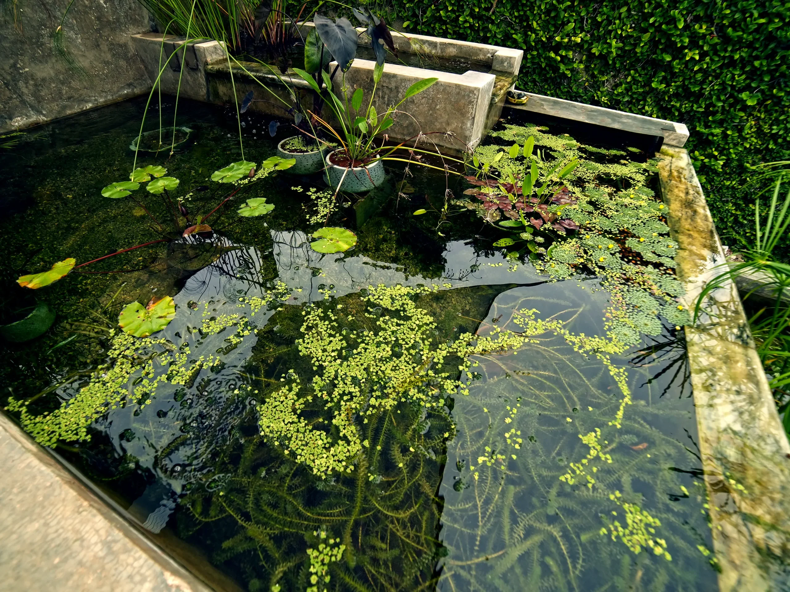 fancy-gallery-tabs-image